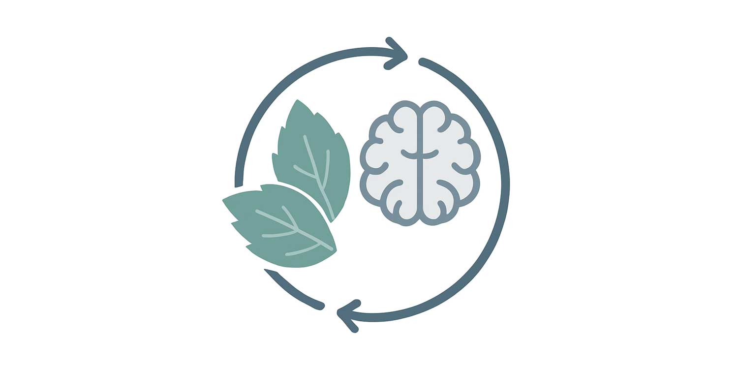Why menthol bans matter for public health